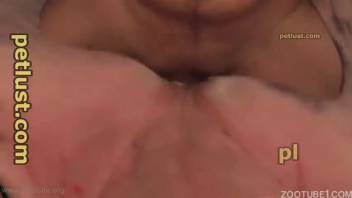 Nice white pup and aroused animal lover in dirty beast sex encounter