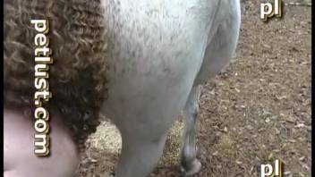 Gay man with long hair penetrates horse's vagina with his dick