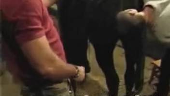 Aroused men drew near the submissive horse to tongue her moist anus.