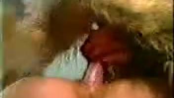 The filthiest retro animal sex featuring various dogs