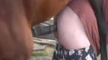 Horse and woman fuck