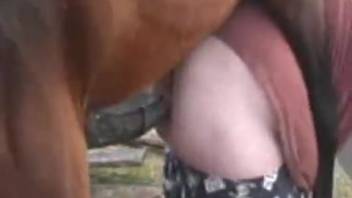 Equine rear penetrates nude female and ejaculates on her plump buttocks