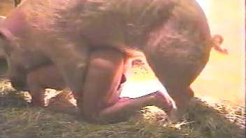 Swine's rear end pounds nude woman in scenes of intense deviant acts