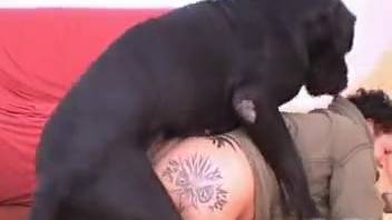 Brunette dog and chubby tattooed animal enthusiast have sex in the rear-entry position