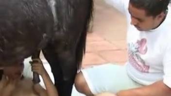Excited woman teases her vagina with an actual horse penis