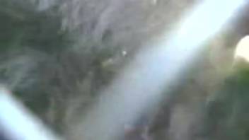 Guy thrusts entire cock into a cow's vagina in eager homemade porn
