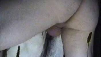 Guy thrusts into mare's vagina and anus during wild webcam sessions
