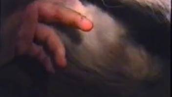 Guy screws shaggy mare in wild adult film and captures awesome footage