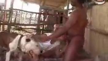 Golden-haired vixen is pounded by a canine while her partner watches