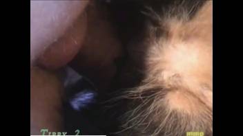 Guy employs his thick cock to ravage a narrow opening