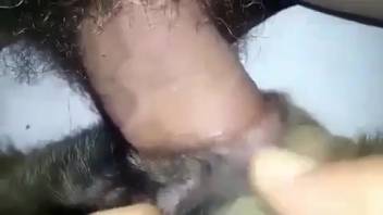 Furry cock monster fits perfectly in this animal's cunt