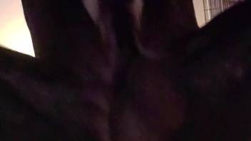 Massive gorgeous dick wrecking a bestiality lover's narrow orifice