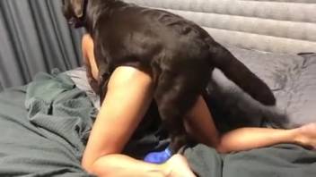 Curvy-booty babe savoring intense fucking with a canine