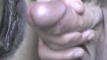 Female horse's cunt being pounded by an excited guy in close-up