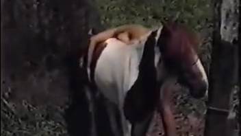 Attractive ladies savoring the pony for a solid screw