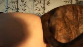 Curvy ass newbie being pounded by an eager hound