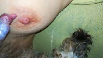 Voluptuous woman engages in intimate play with a dog during private sessions